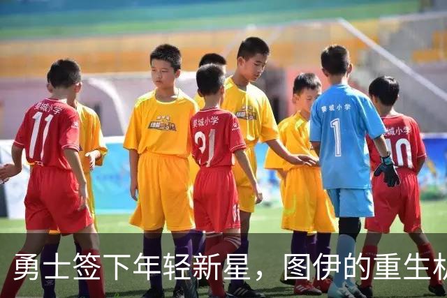 勇士签下年轻新星，图伊的重生机会来了吗？